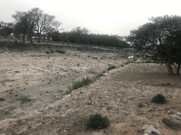 A dry riverbed stretches through a sparse landscape with scattered bushes, leafless trees on one side, a fuller tree on the other, and a small pool of water visible in the distance.
