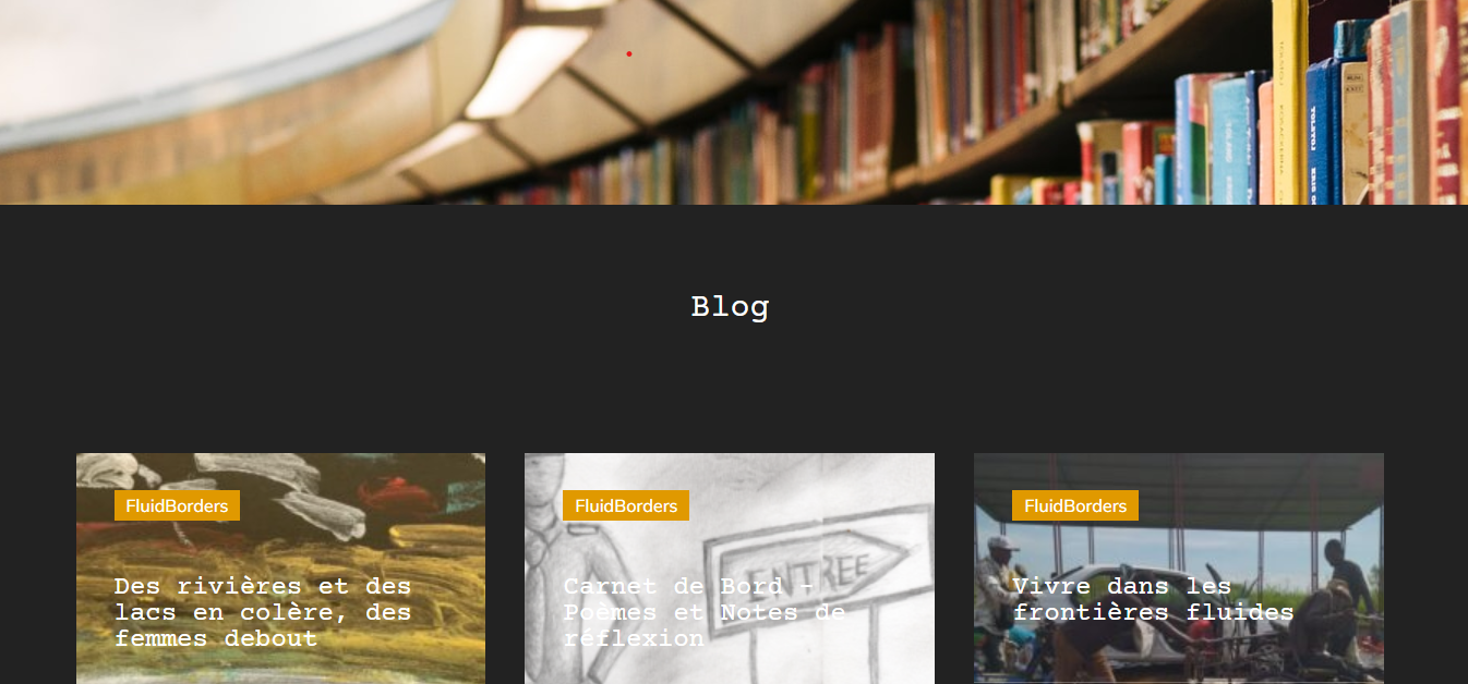 Screenshot of Fluid Borders blog page