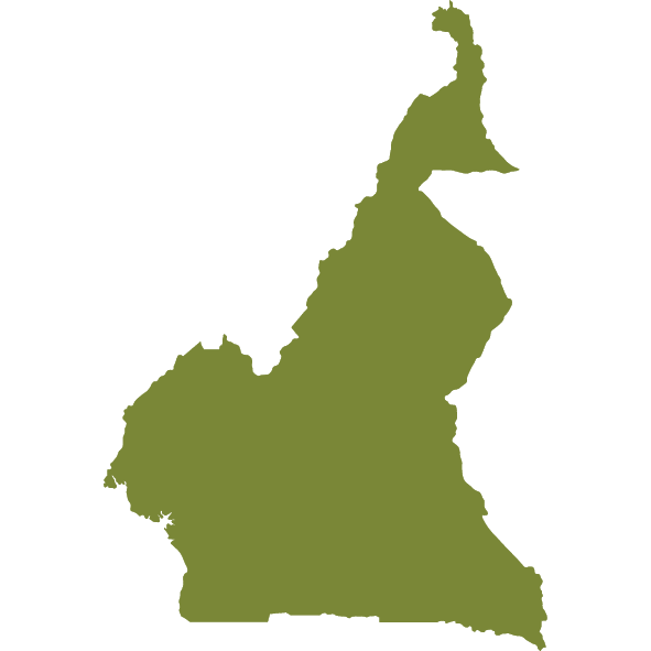 Cameroon Map Icon