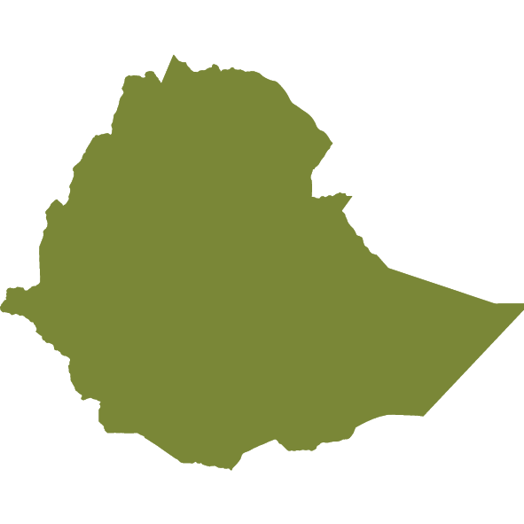 Cameroon Map Icon