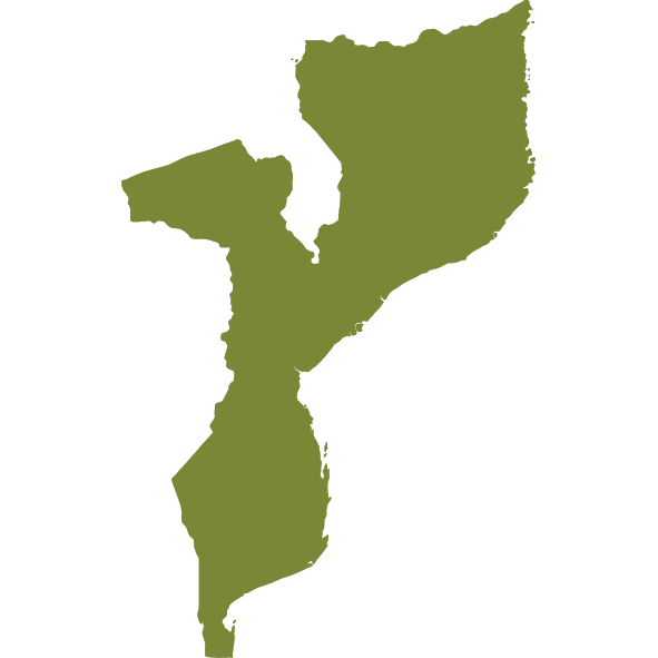 Mozambique Map Icon