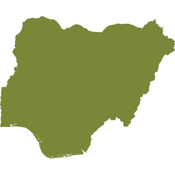 Nigeria Map Icon