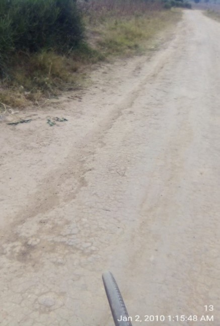 The Long Road image from Oruchinga