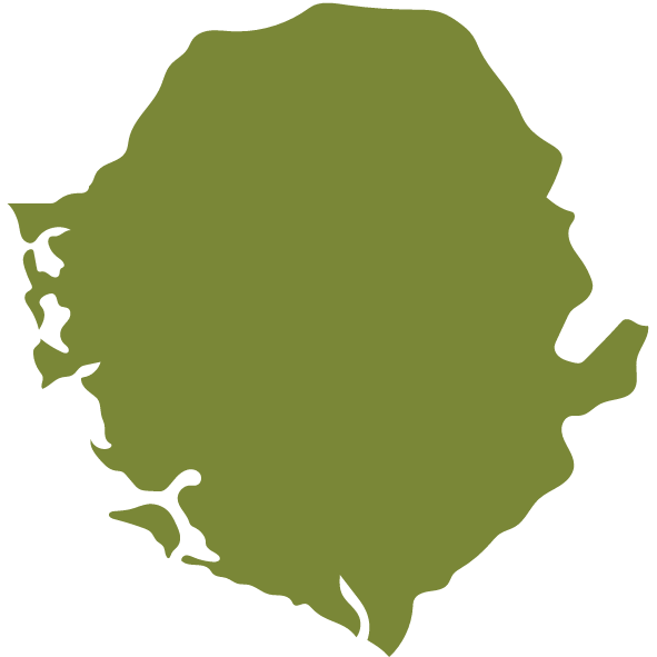 Sierra Leone Map Icon