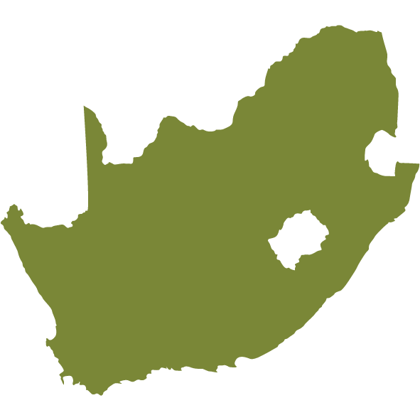 South Africa Map Icon