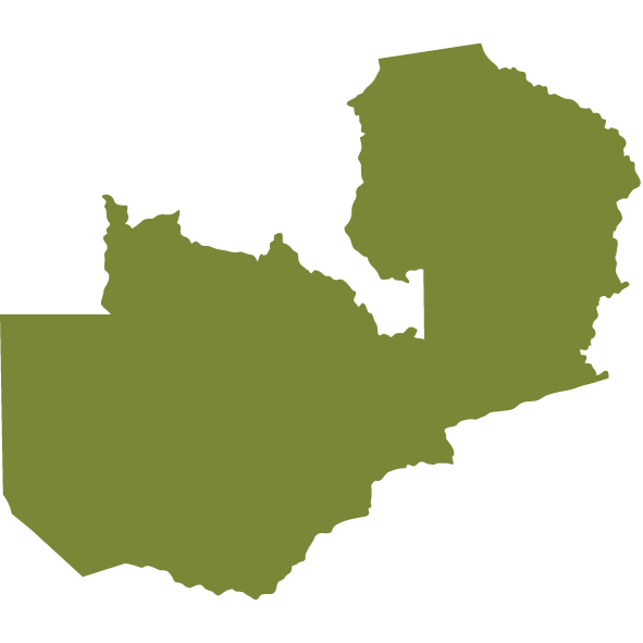 Zambia Map Icon