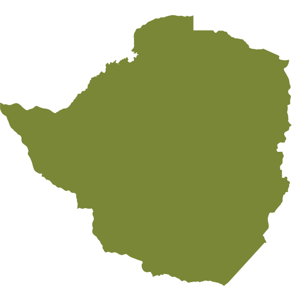 Zimbabwe Map Icon